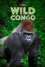 NL - WILD CONGO 12