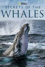 D+ - Secrets of the Whales (US) 12