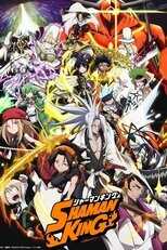 NL - SHAMAN KING S01 12