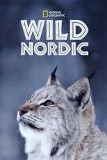 D+ - Wild Nordic (US) 12