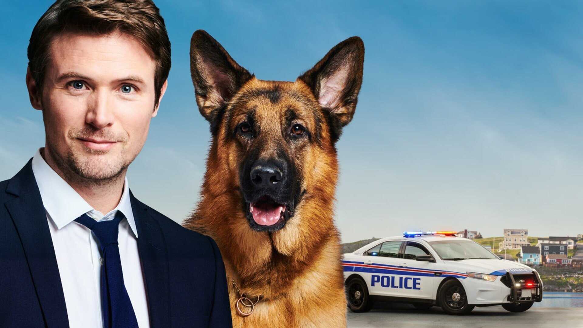 EN - Hudson & Rex (2019) 1