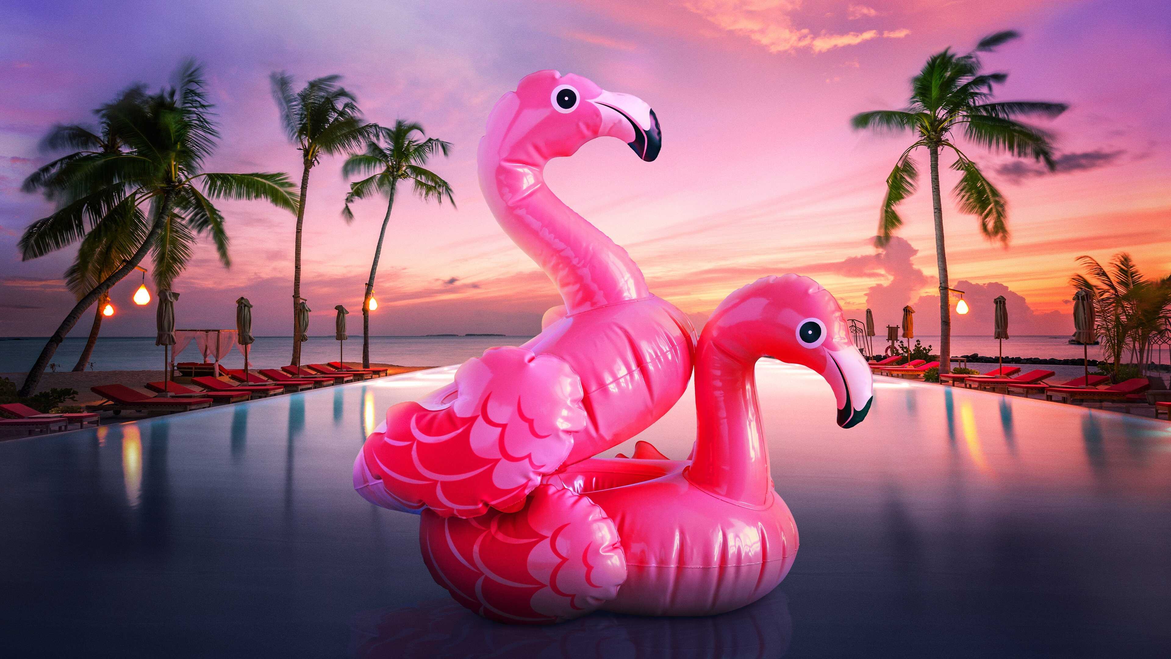 EN - Bachelor In Paradise US (2014) 0