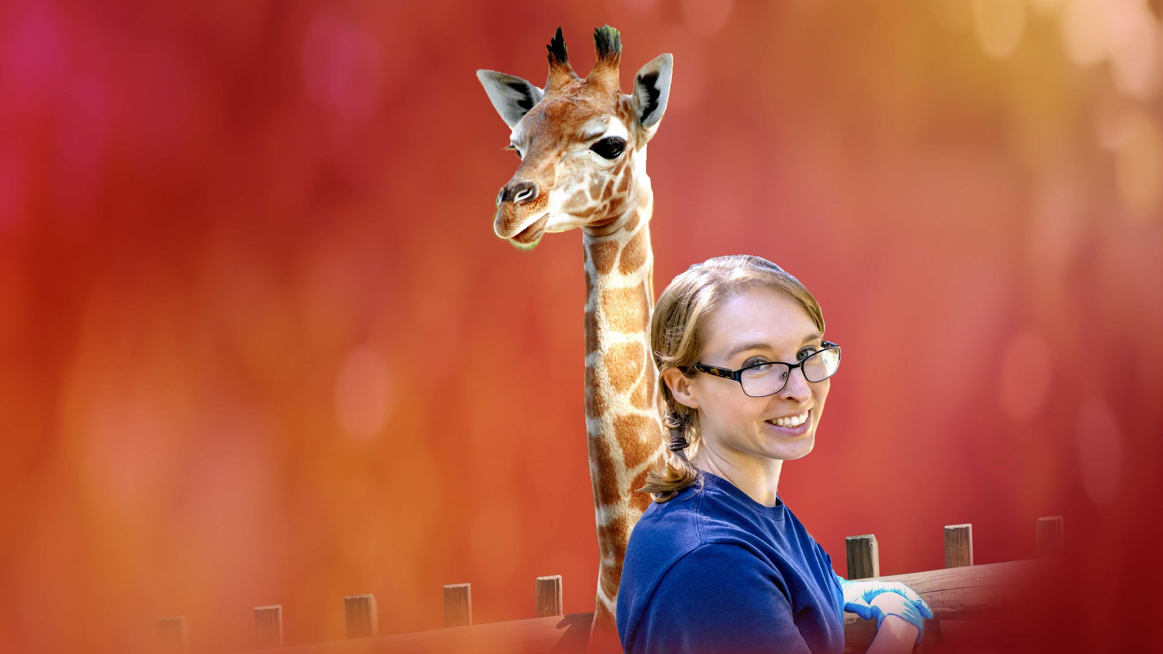 D+ - Secrets of the Zoo: North Carolina 0