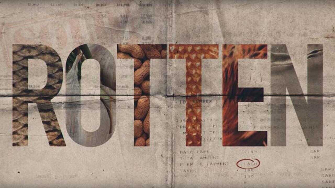 FR - Rotten 1