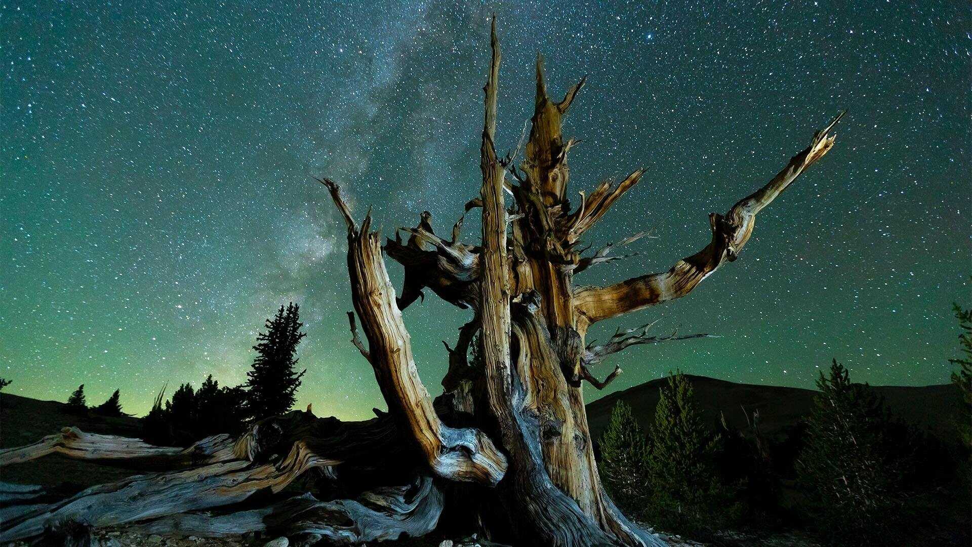 AR - Planet California 0