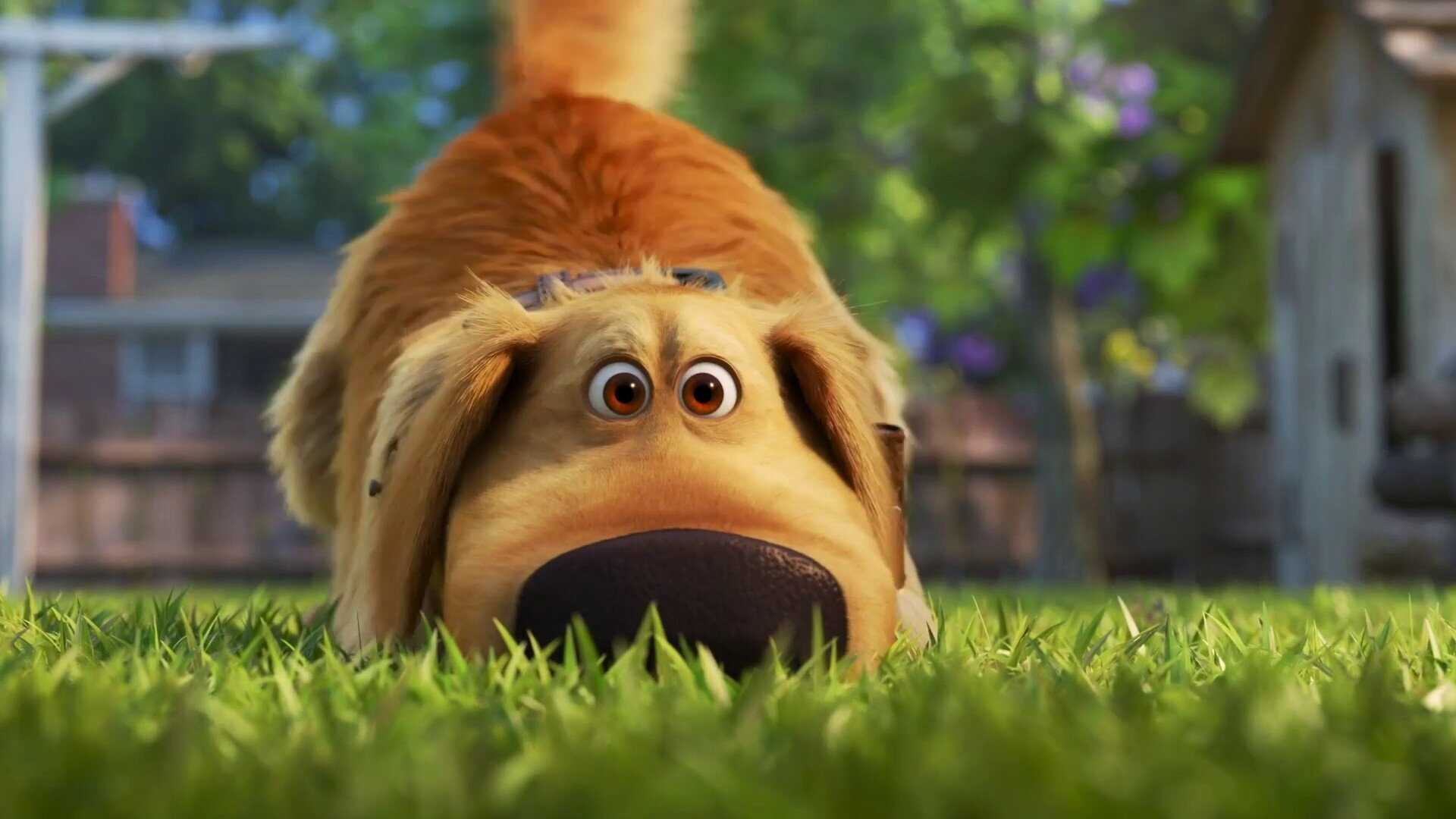 EN - Dug Days (2021) 4
