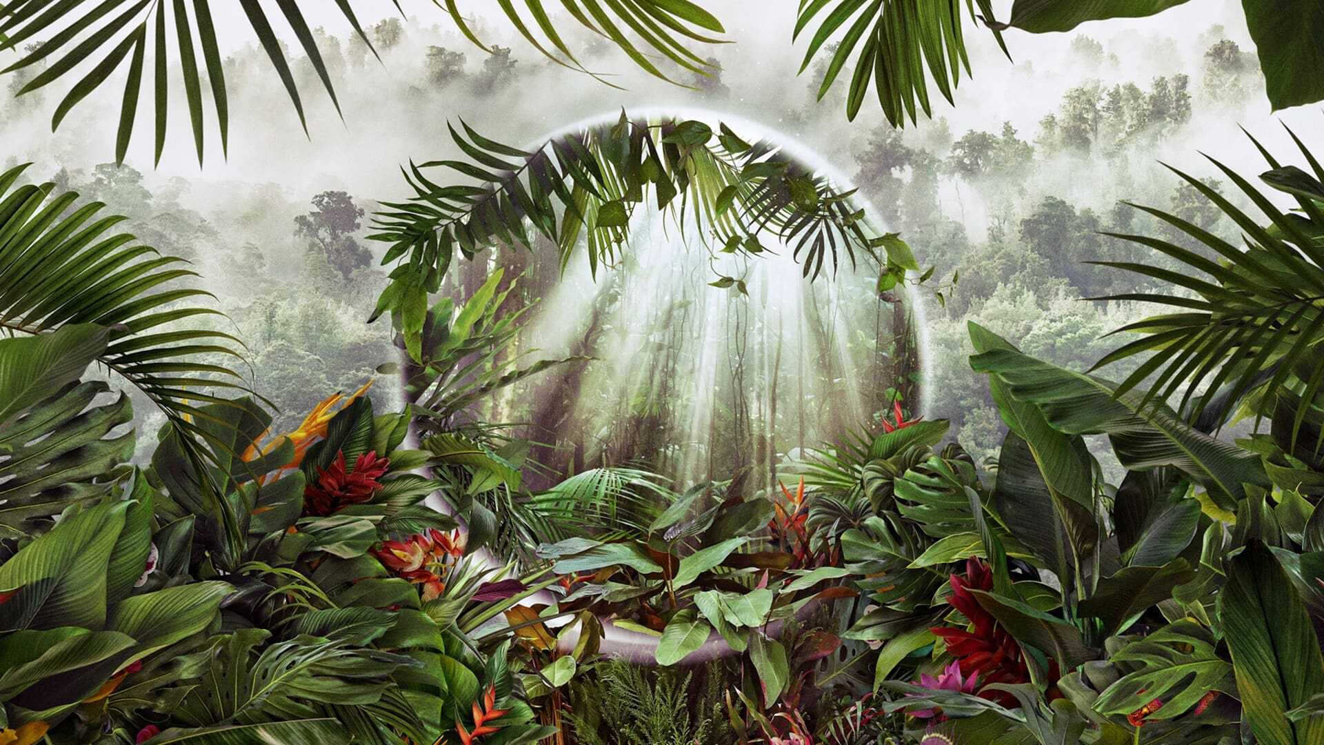 EN - The Green Planet (2022) 0
