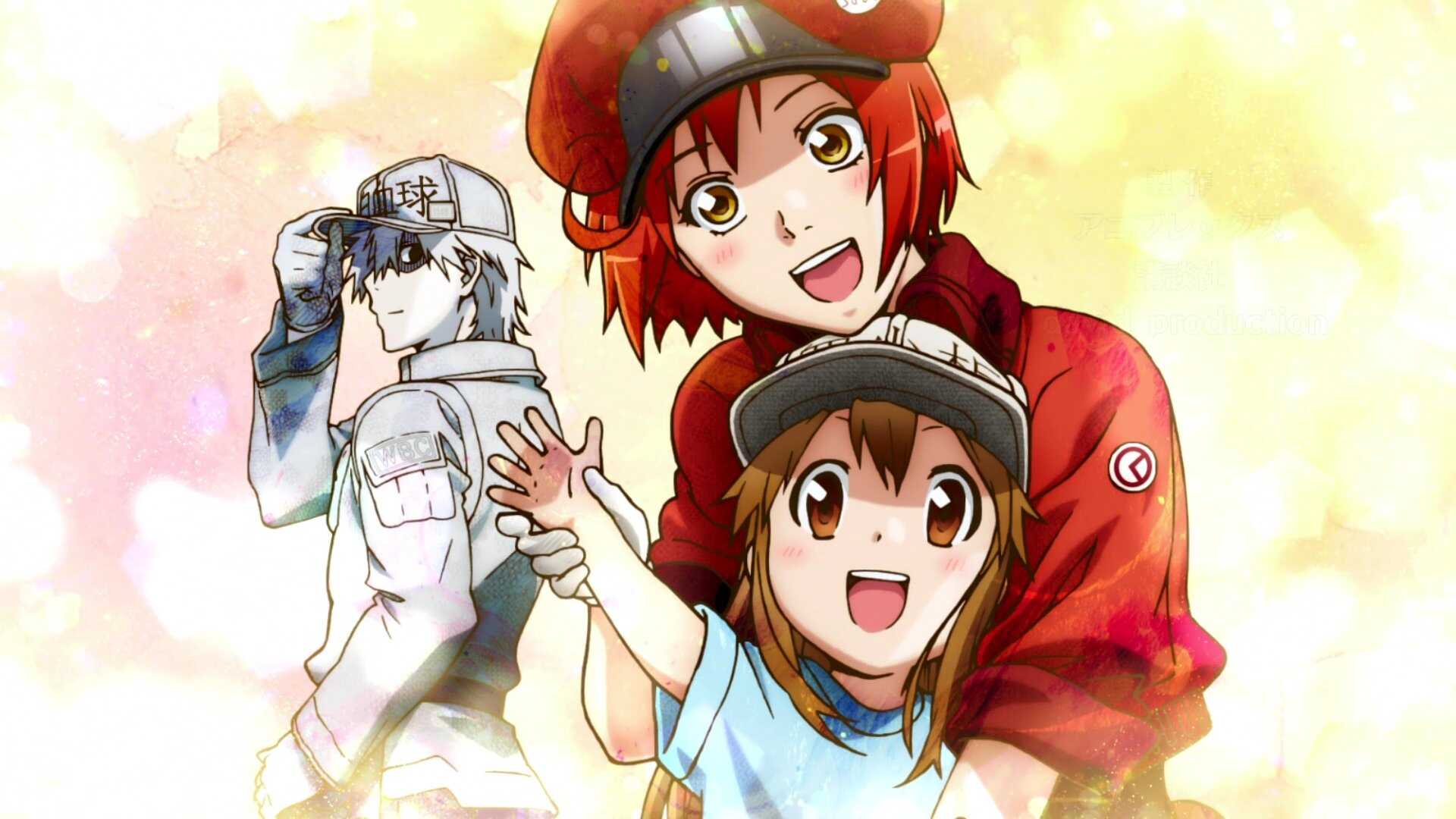 EN - Cells at Work! (2018) 0