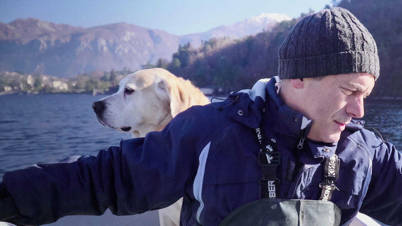 FR - Nos amis les chiens 0