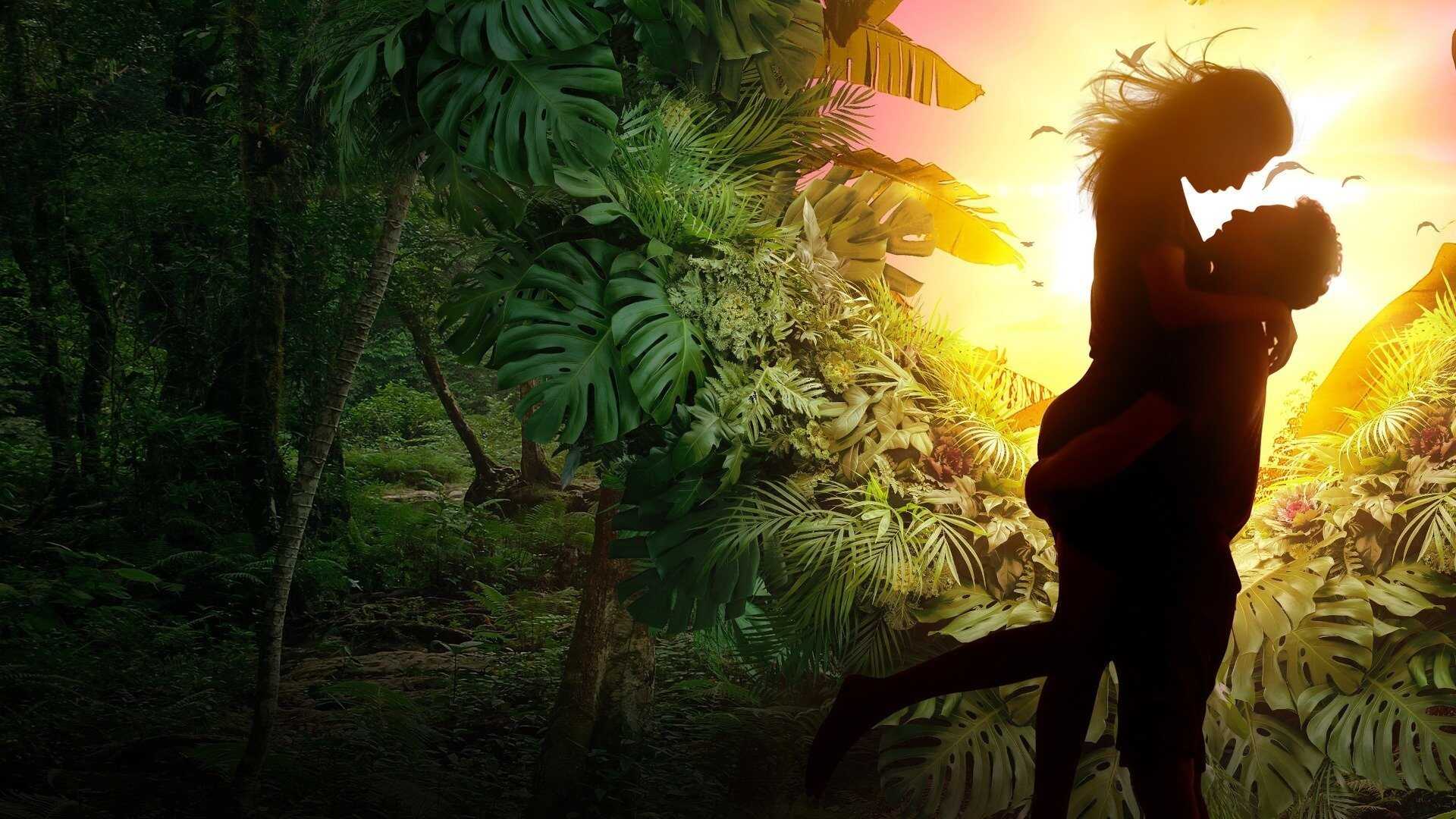 EN - Love In The Jungle (2022) 2