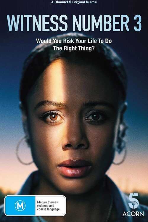 EN - Witness Number 3 (2022) 12