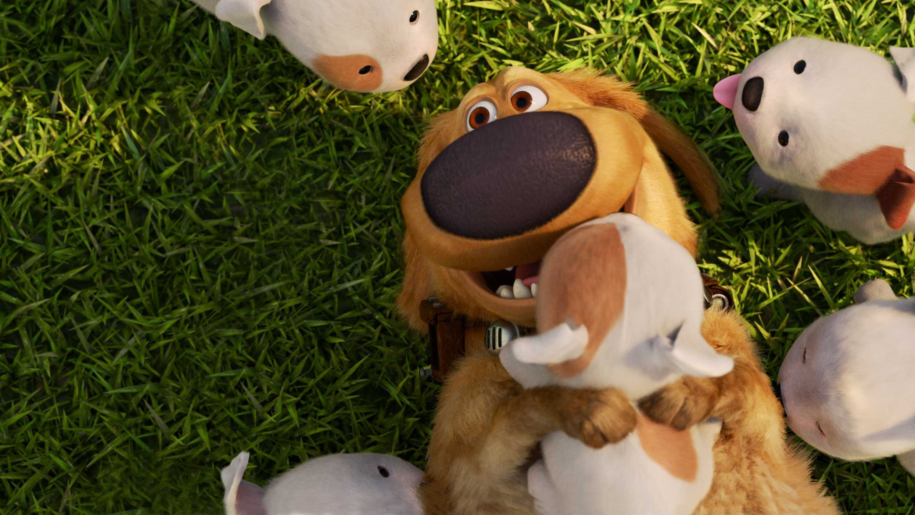EN - Dug Days (2021) 2