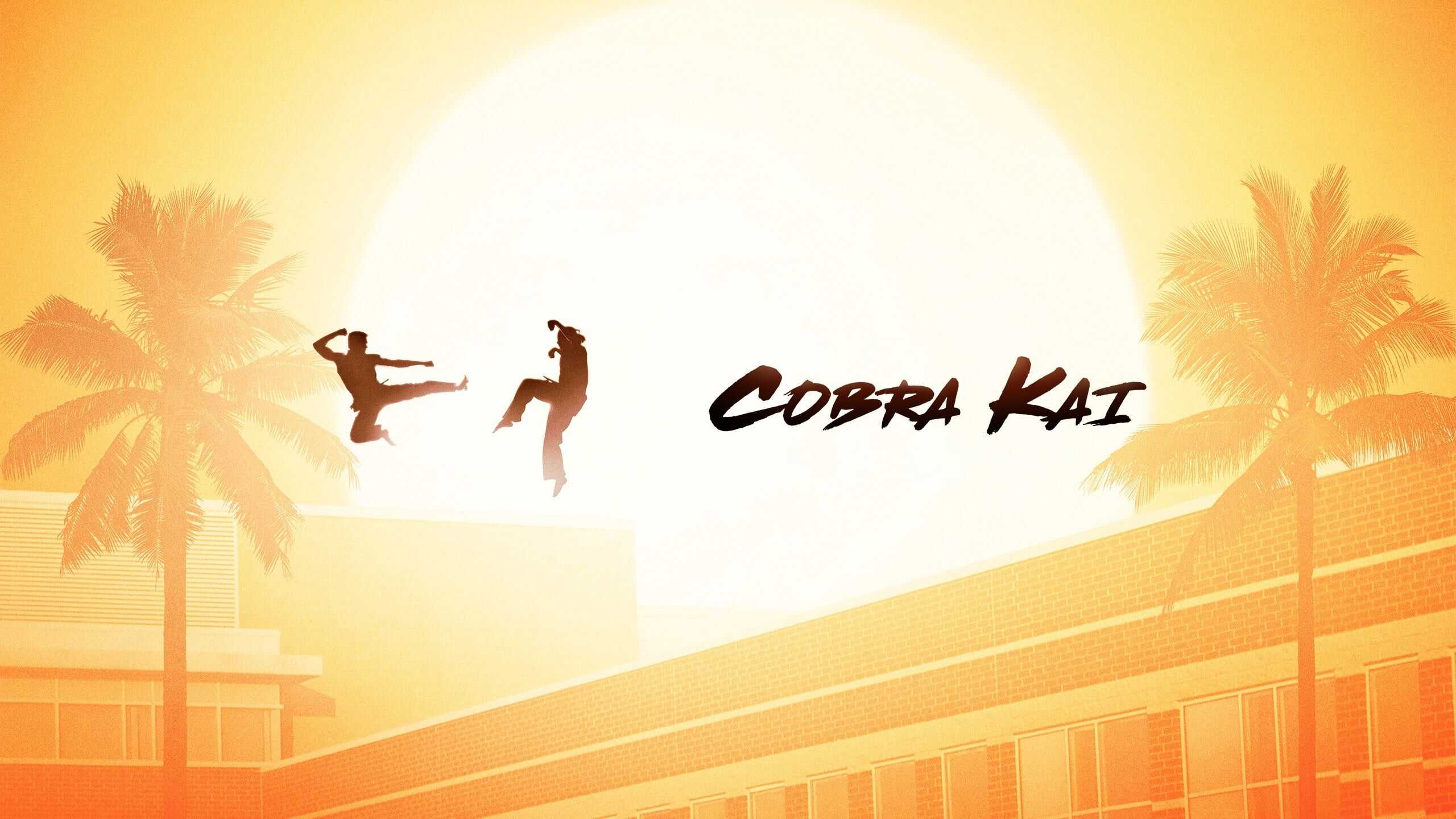 PL - COBRA KAI 4