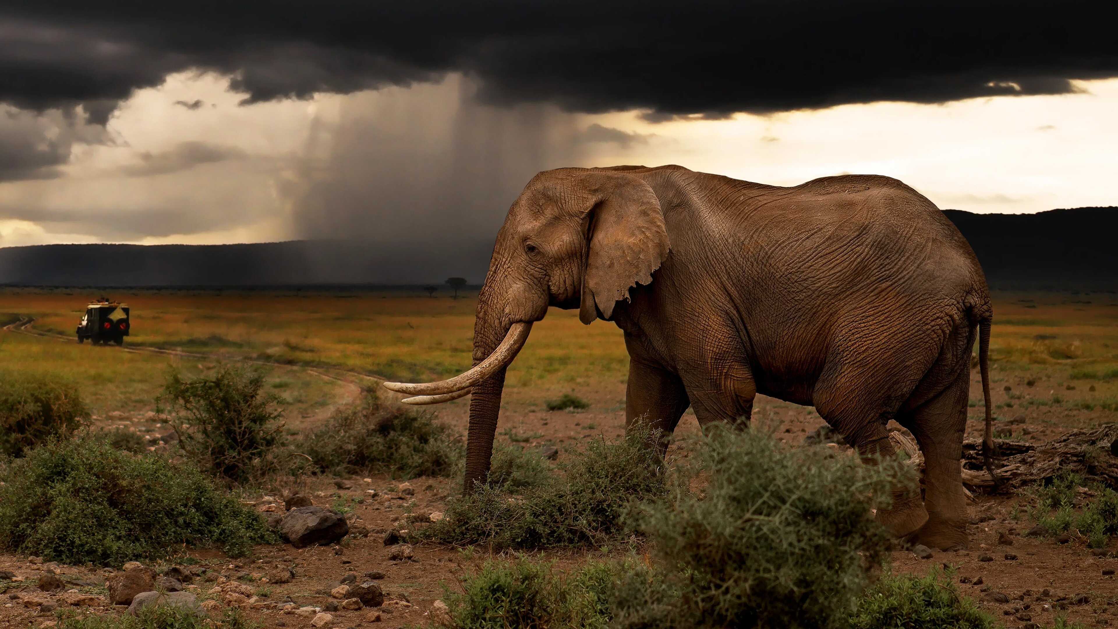 EN - Chasing The Rains (2023) 0