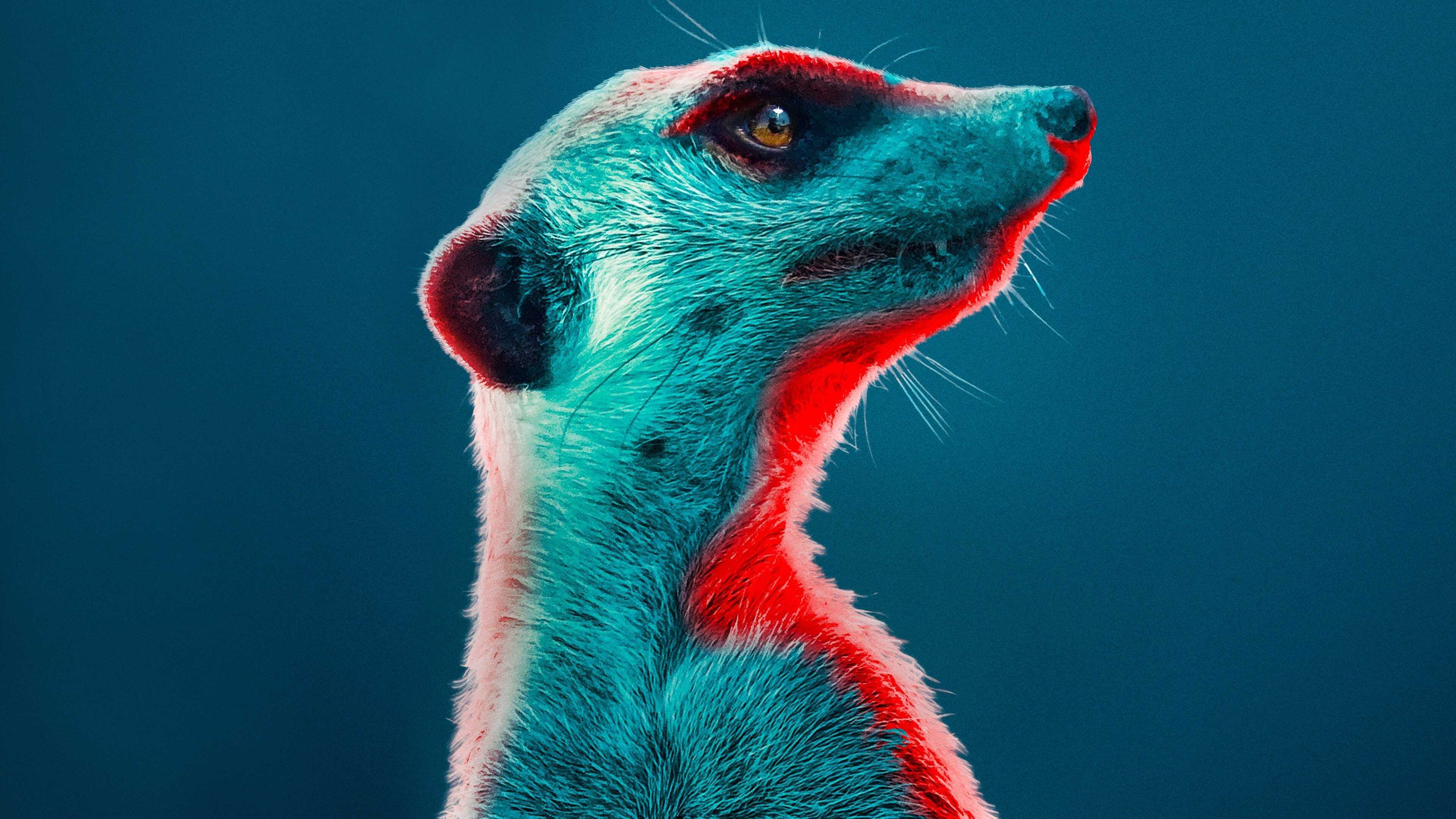 EN - Meerkat Manor: Rise of the Dynasty (2021) 0
