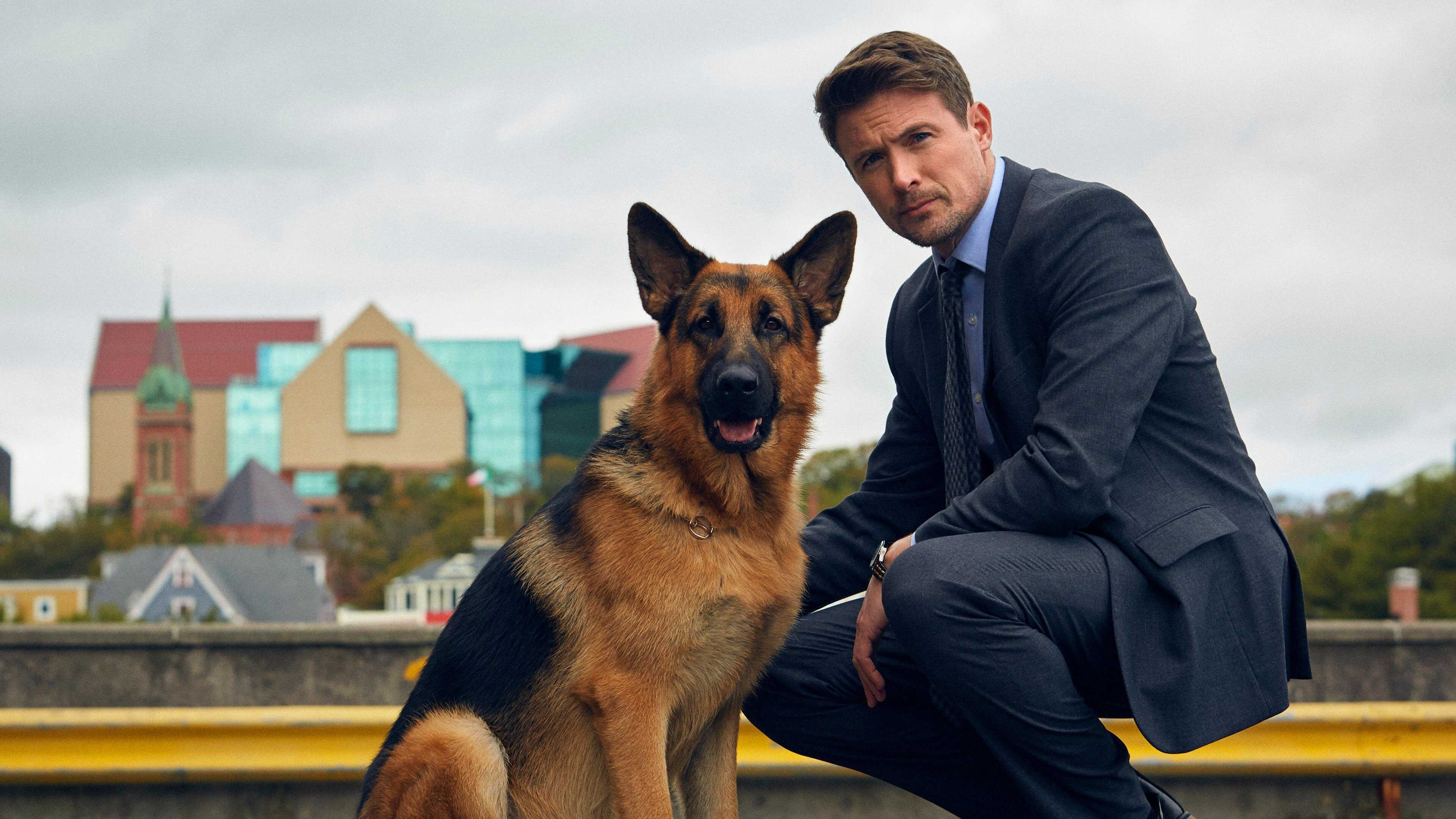 EN - Hudson & Rex (2019) 2