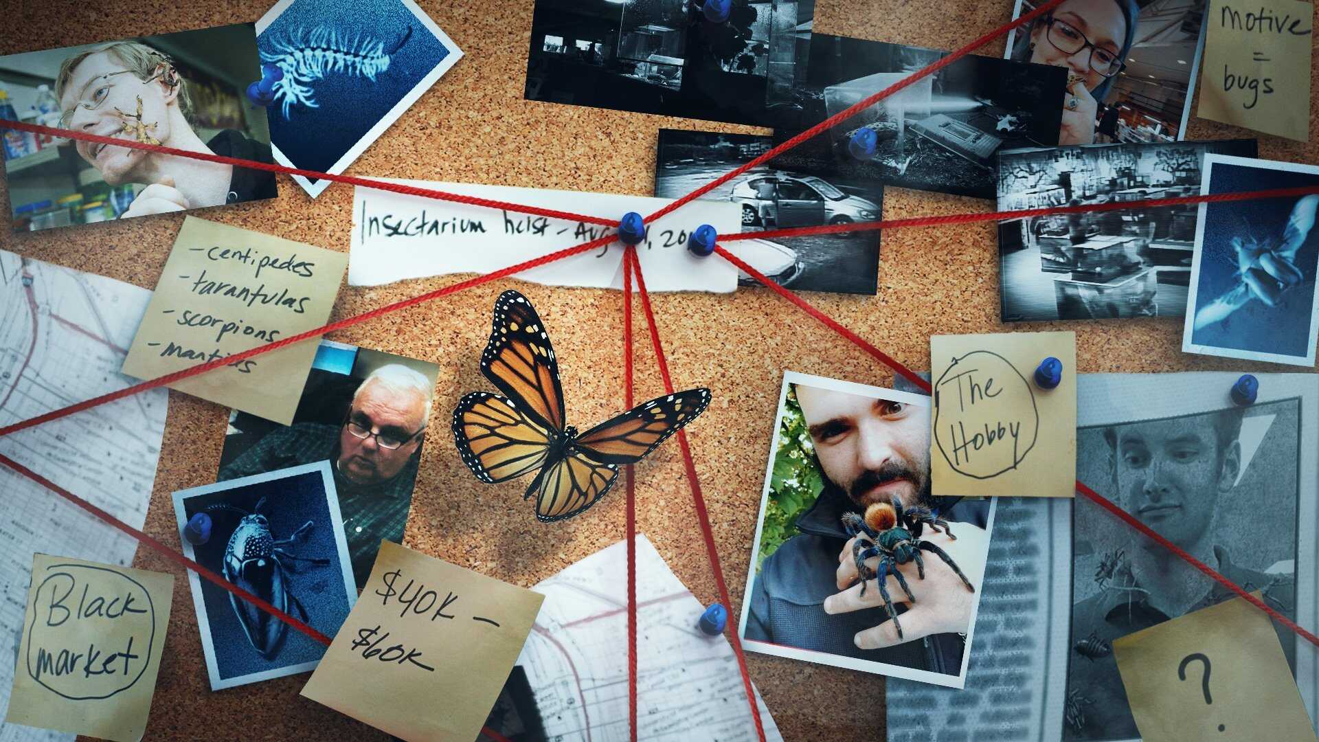 EN - Bug Out (2022) 0