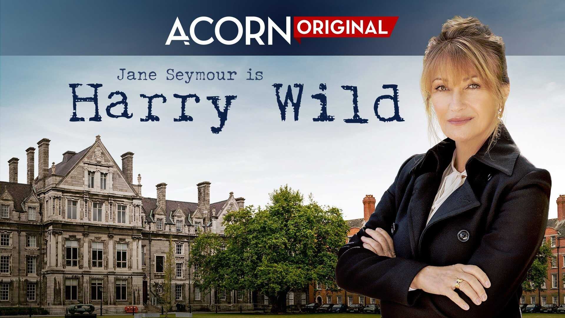 EN - Harry Wild (2022) 0