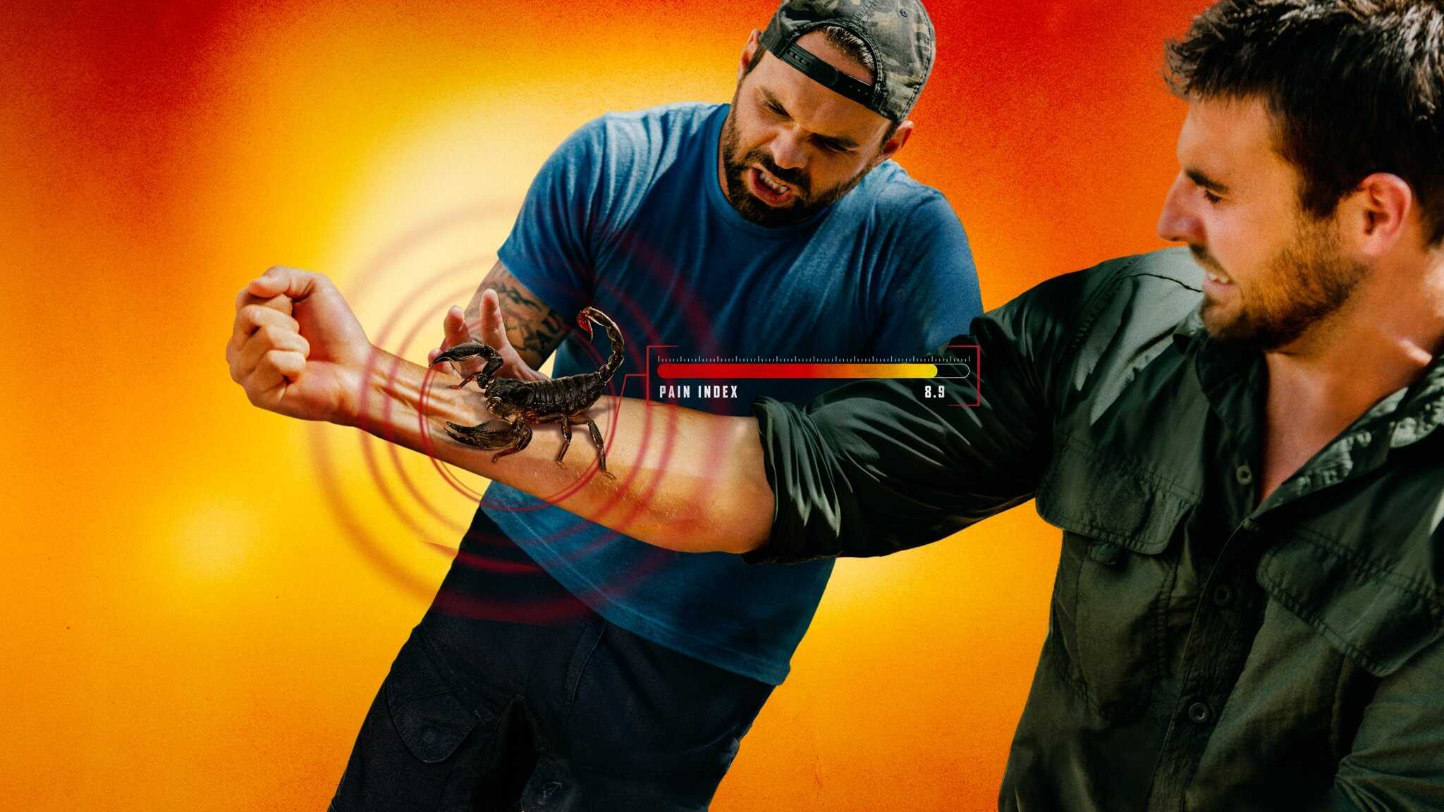 EN - Kings of Pain (2019) 0