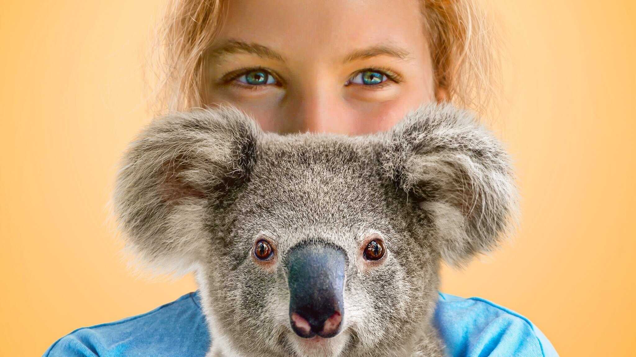 NF - Izzy's Koala World 0