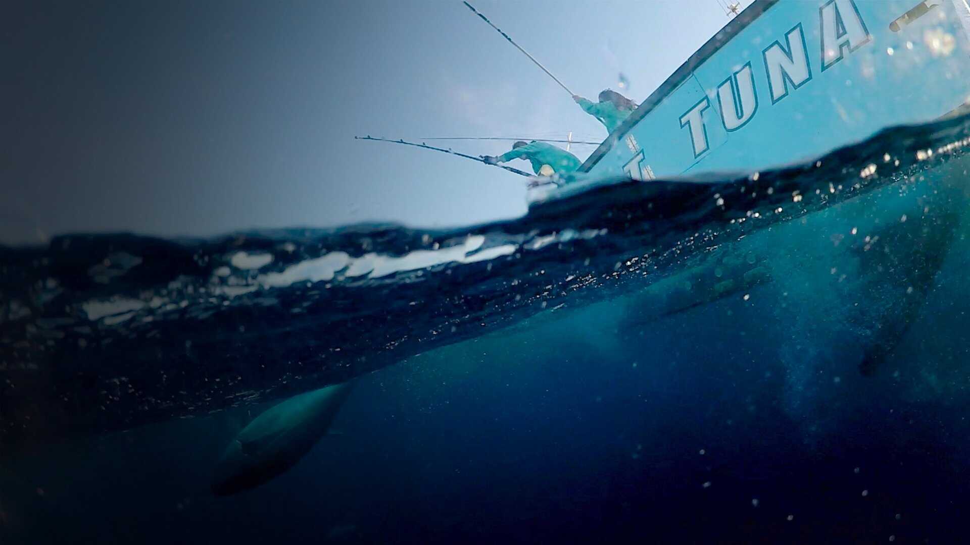 EN - Wicked Tuna: North VS South (2014) 3