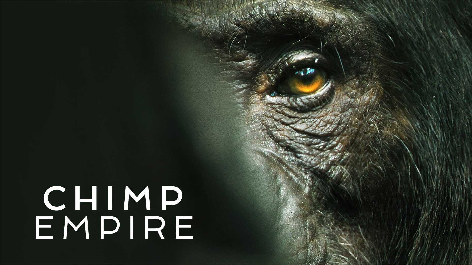 [SE] Chimp Empire 3