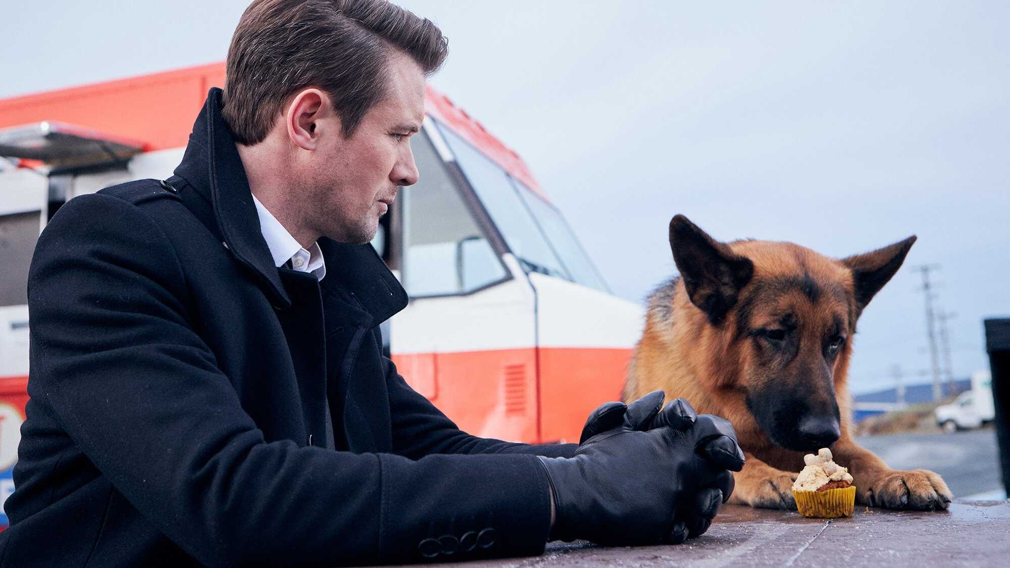 EN - Hudson & Rex (2019) 3