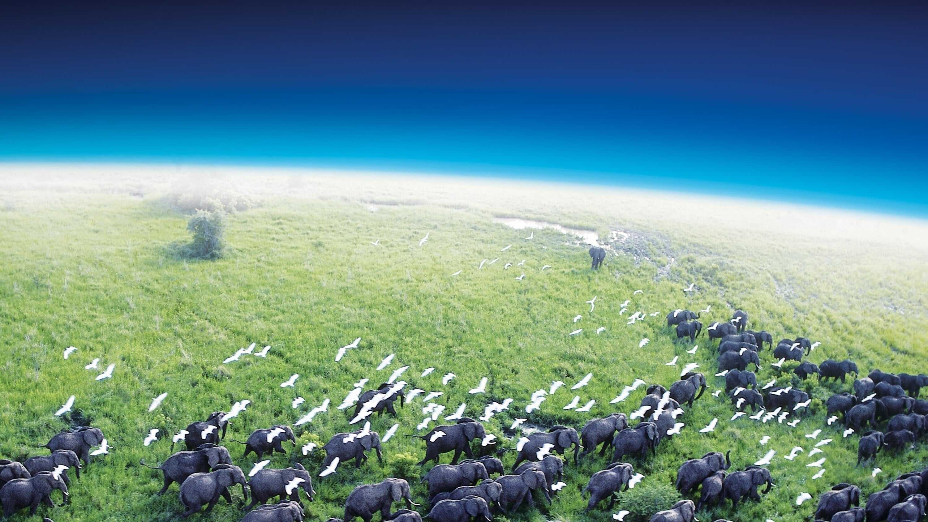 EN - Planet Earth (2006) 0