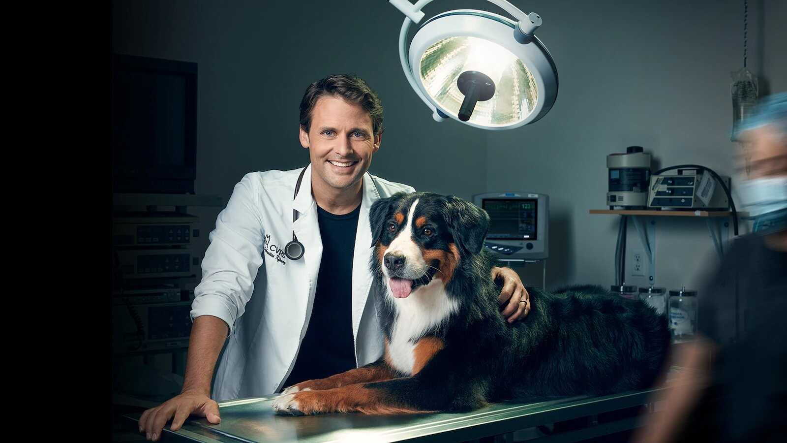 QFR - Dr Sébastien, vétérinaire 0
