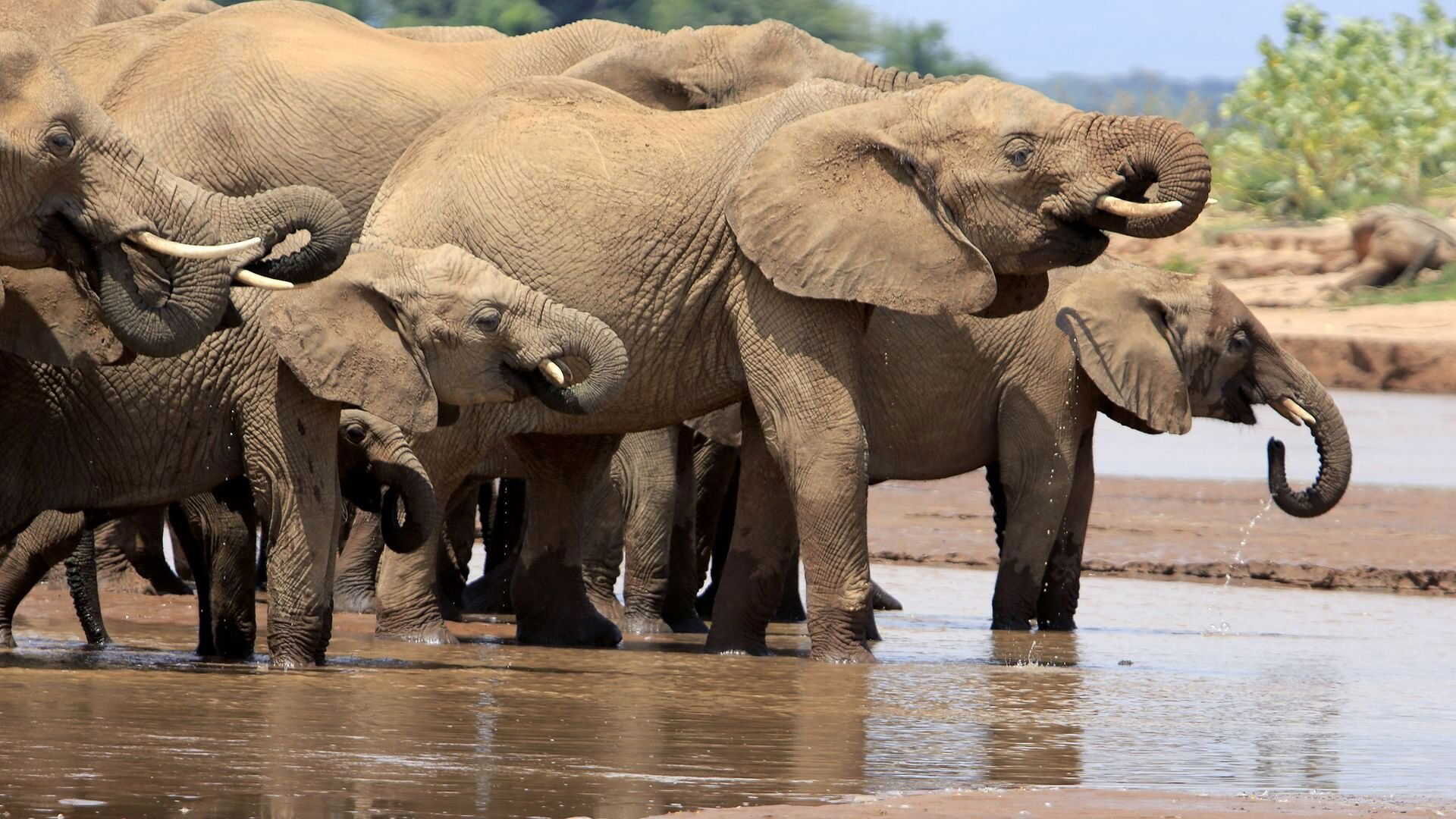EN - Chasing The Rains (2023) 2