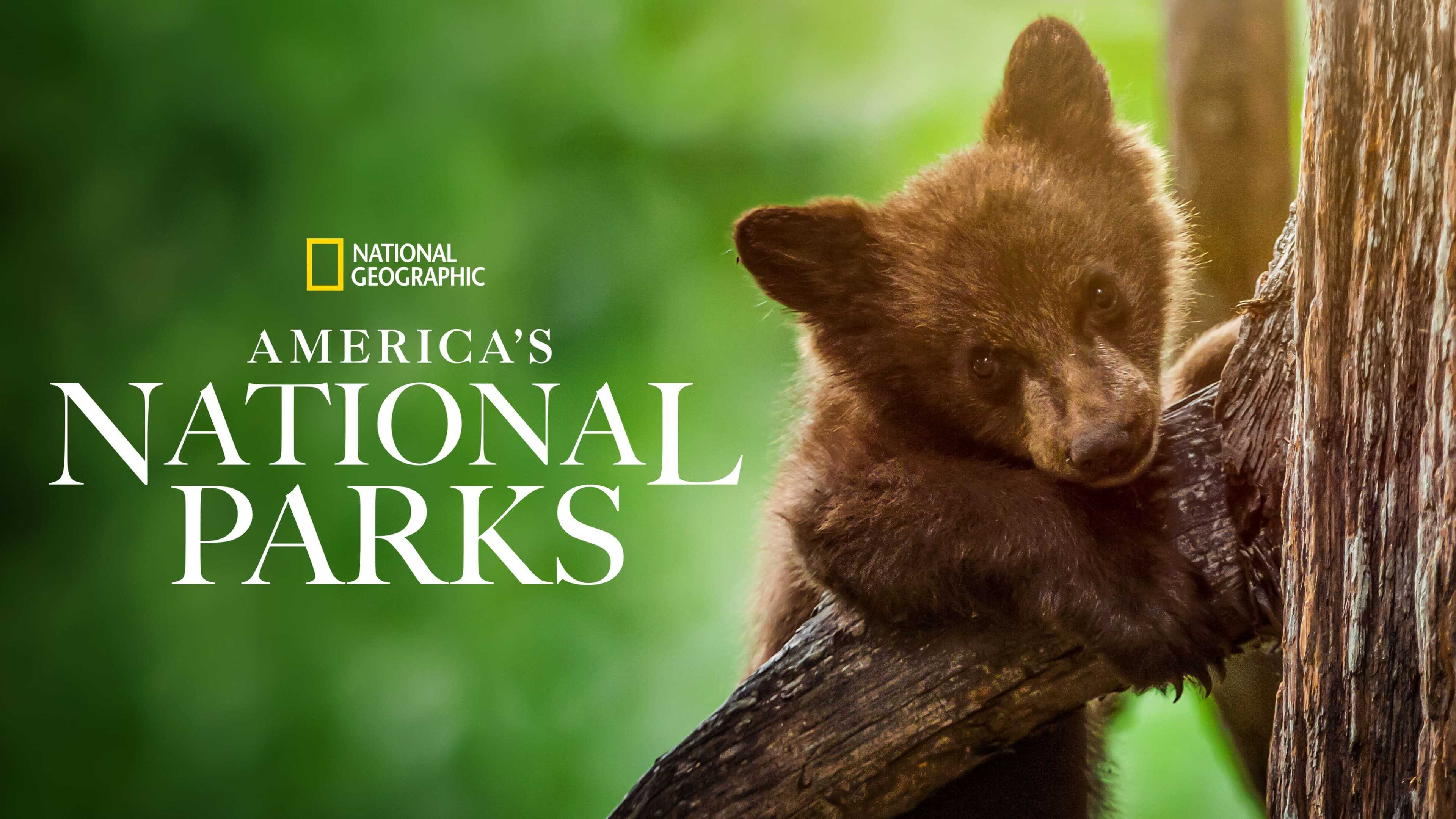D+ - America's National Parks (2022) 3