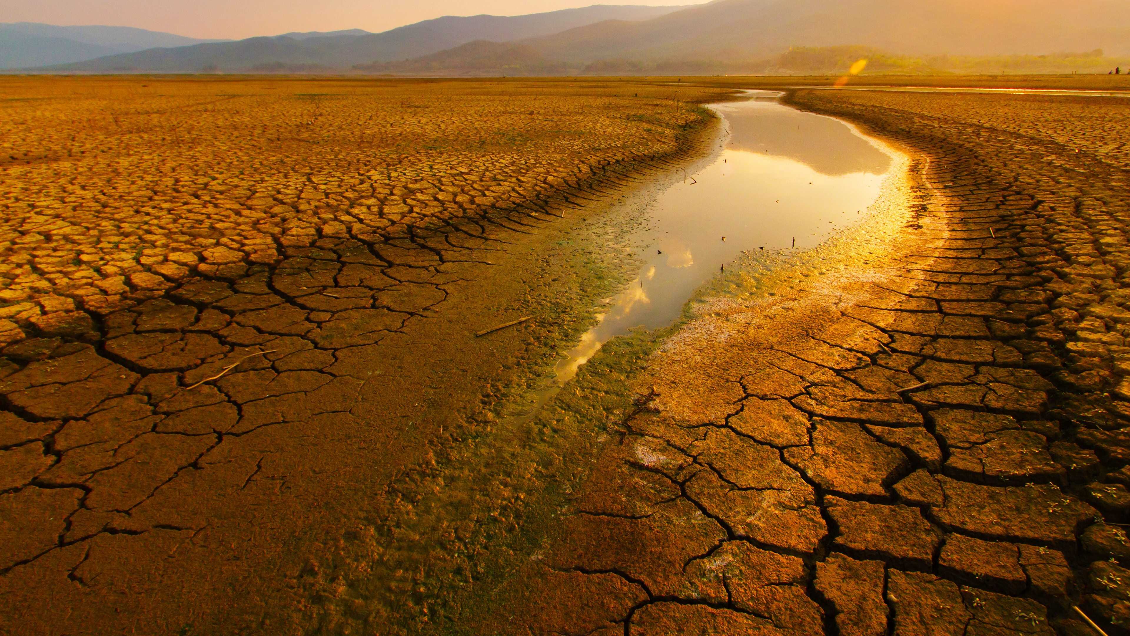 D+ - Parched 0