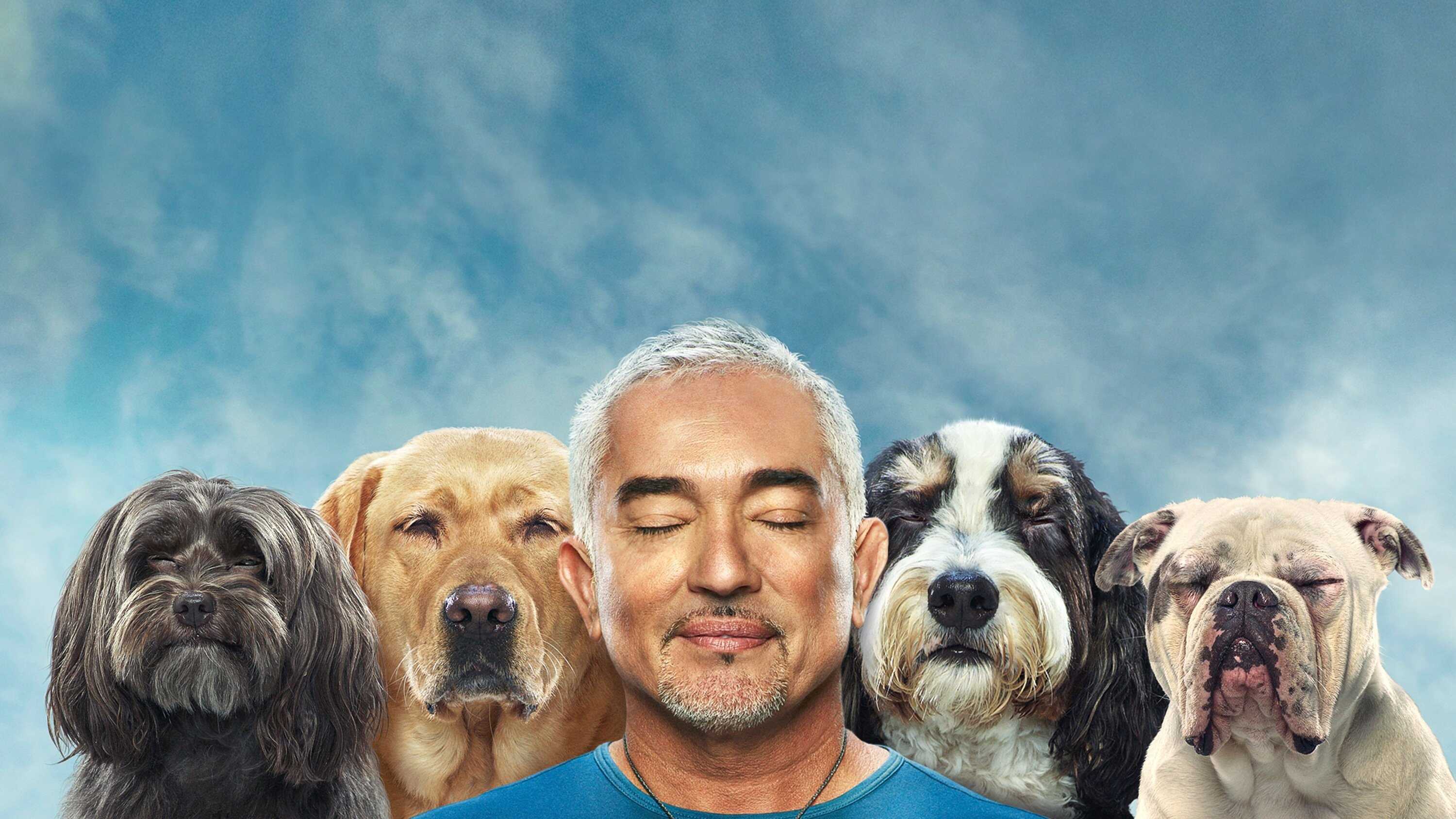 EN - Cesar Millan: Better Human, Better Dog (2021) 0