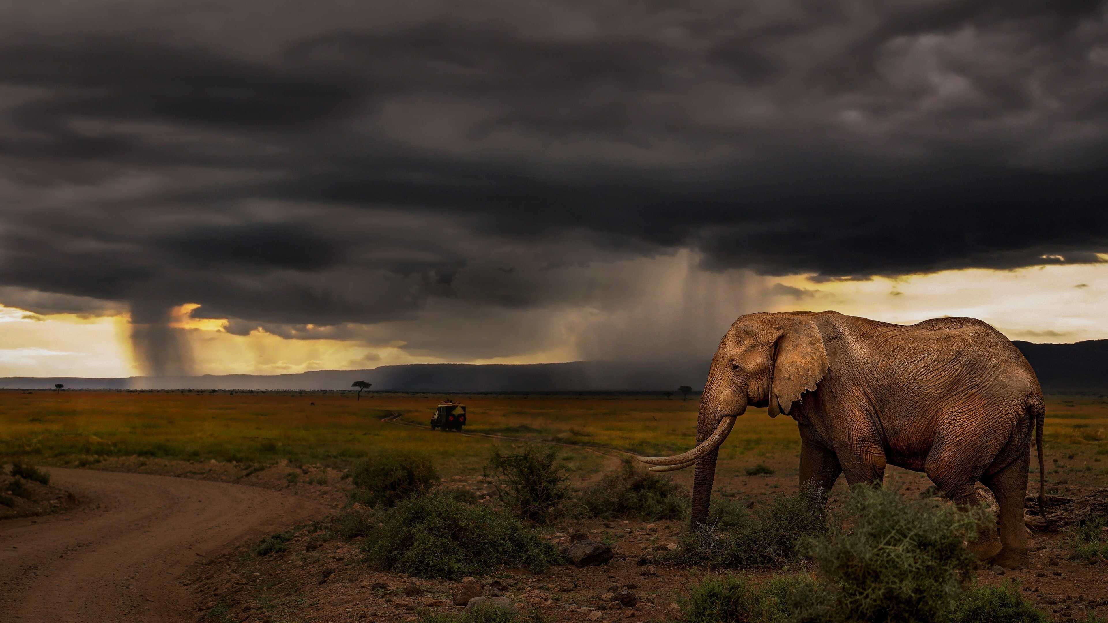EN - Chasing The Rains (2023) 1