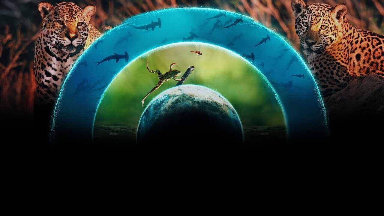 ES - Nuestro mundo lleno de vida 2