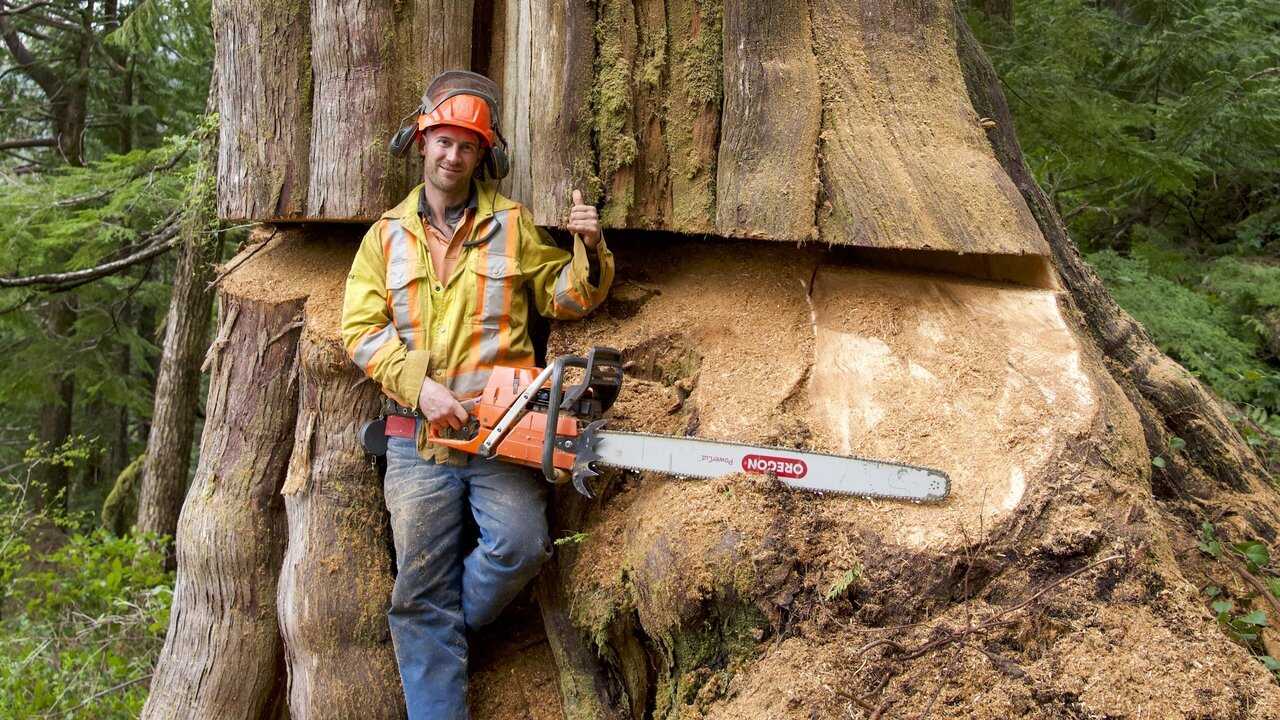 [SE] The Last Woodsmen 2