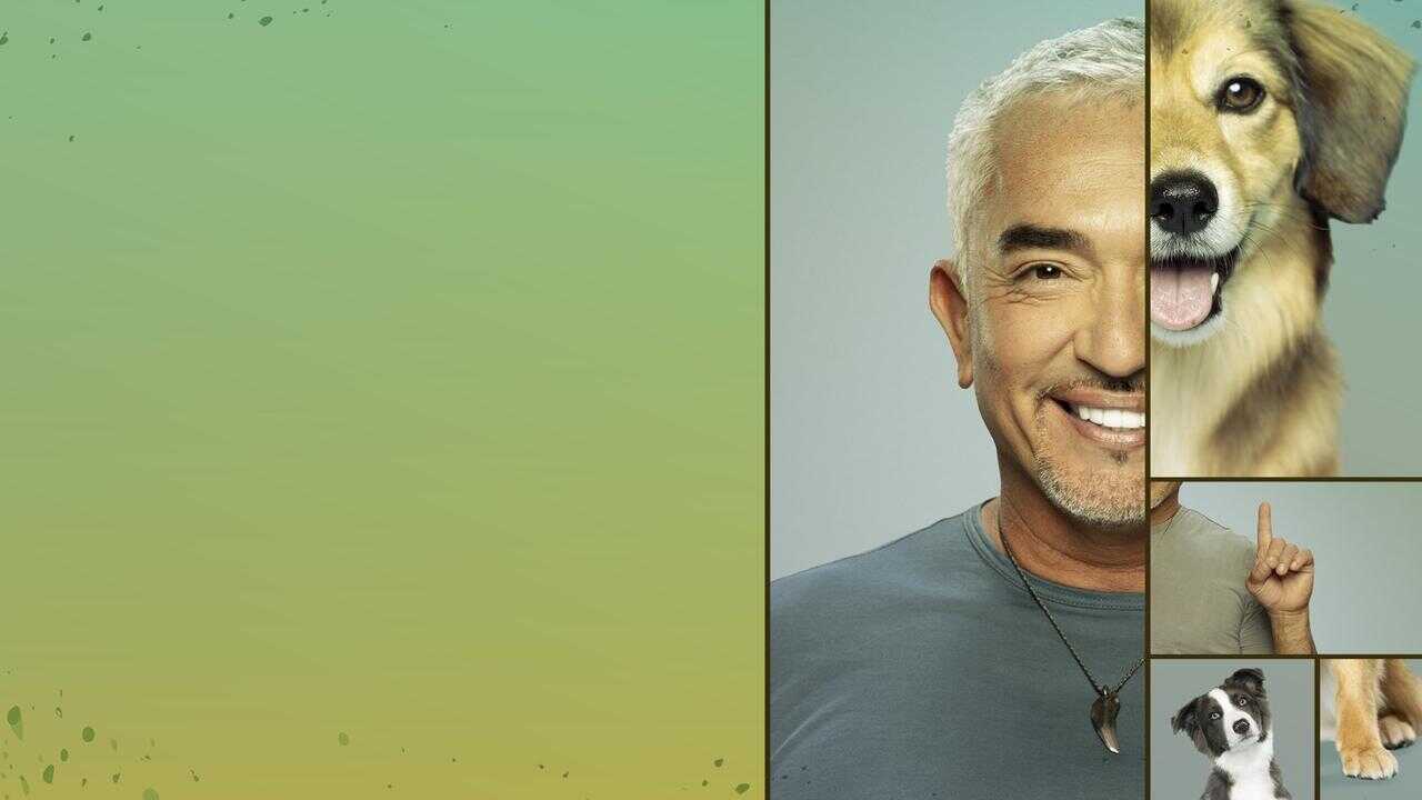 EN - Cesar Millan: Better Human, Better Dog (2021) 0
