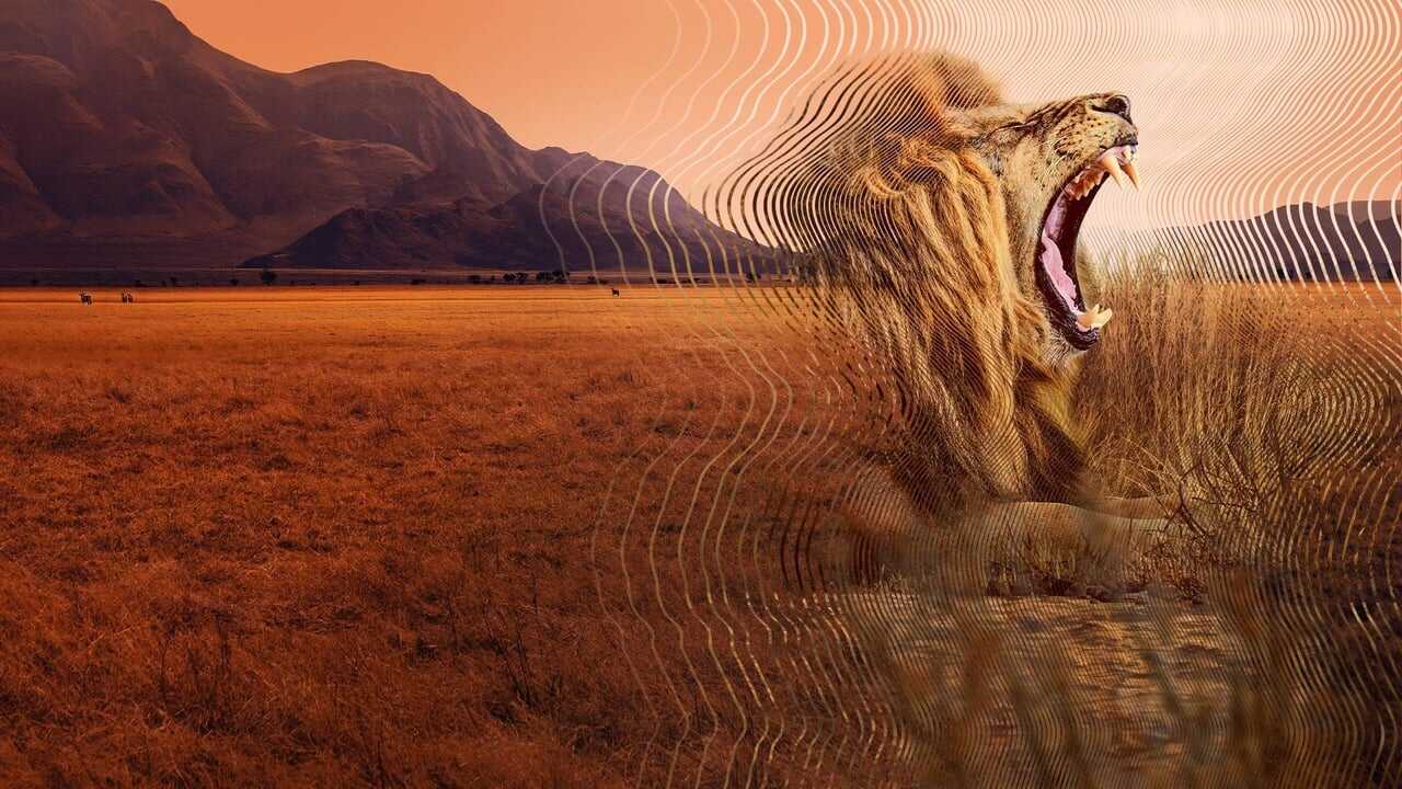 FR - Le Monde secret du son avec David Attenborough (2024) 0