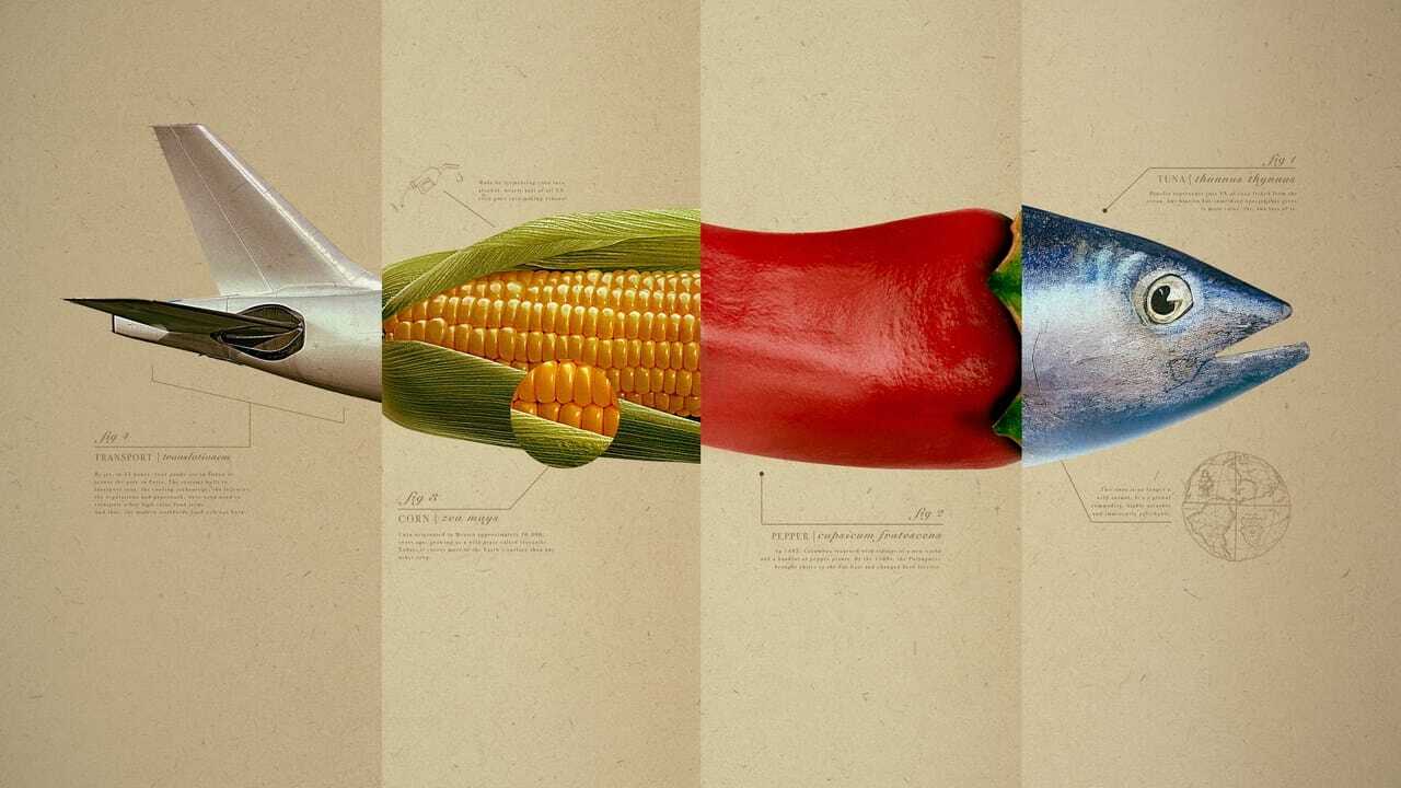 AR - Omnivore (2024) 1