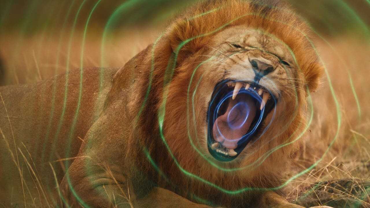 FR - Le Monde secret du son avec David Attenborough (2024) 2