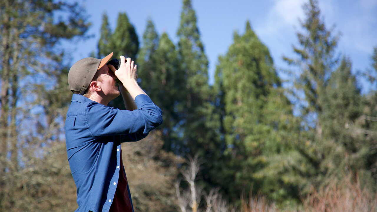 D+ - Weird But True! (US) 2