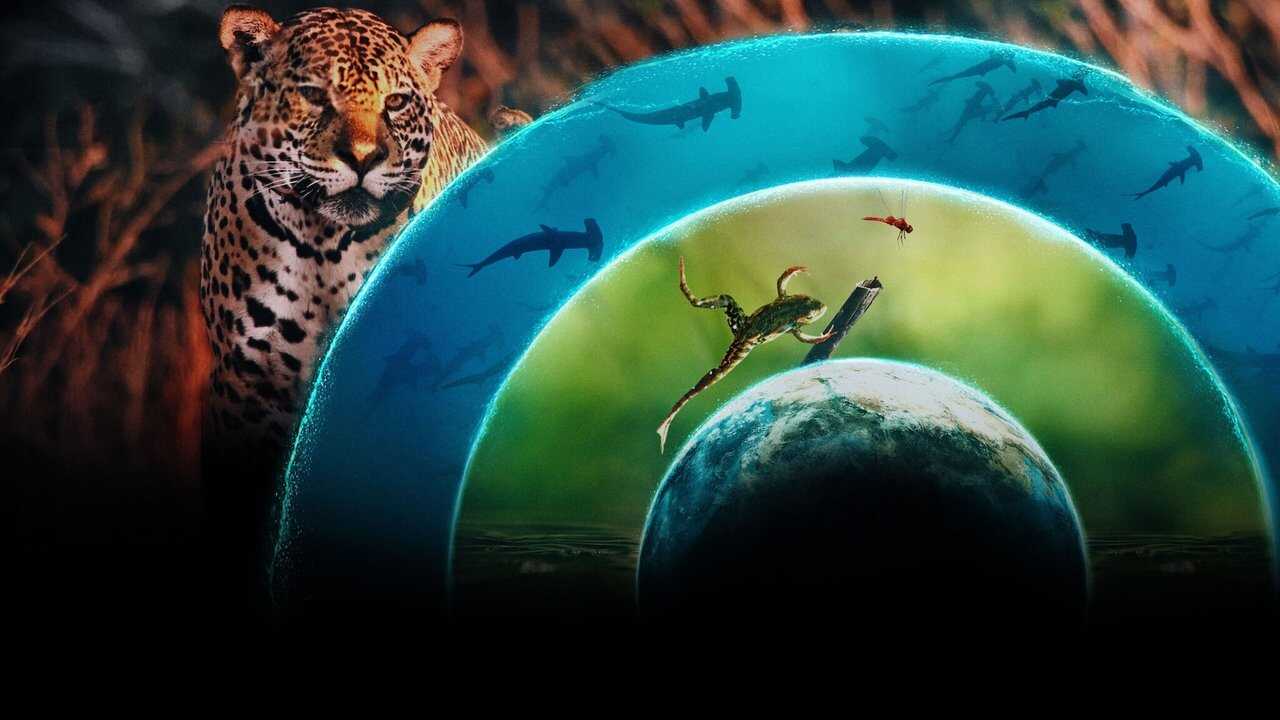 ES - Nuestro mundo lleno de vida 0