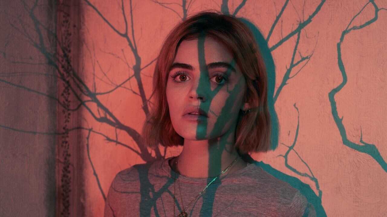 DE - Ragdoll (2021) 2