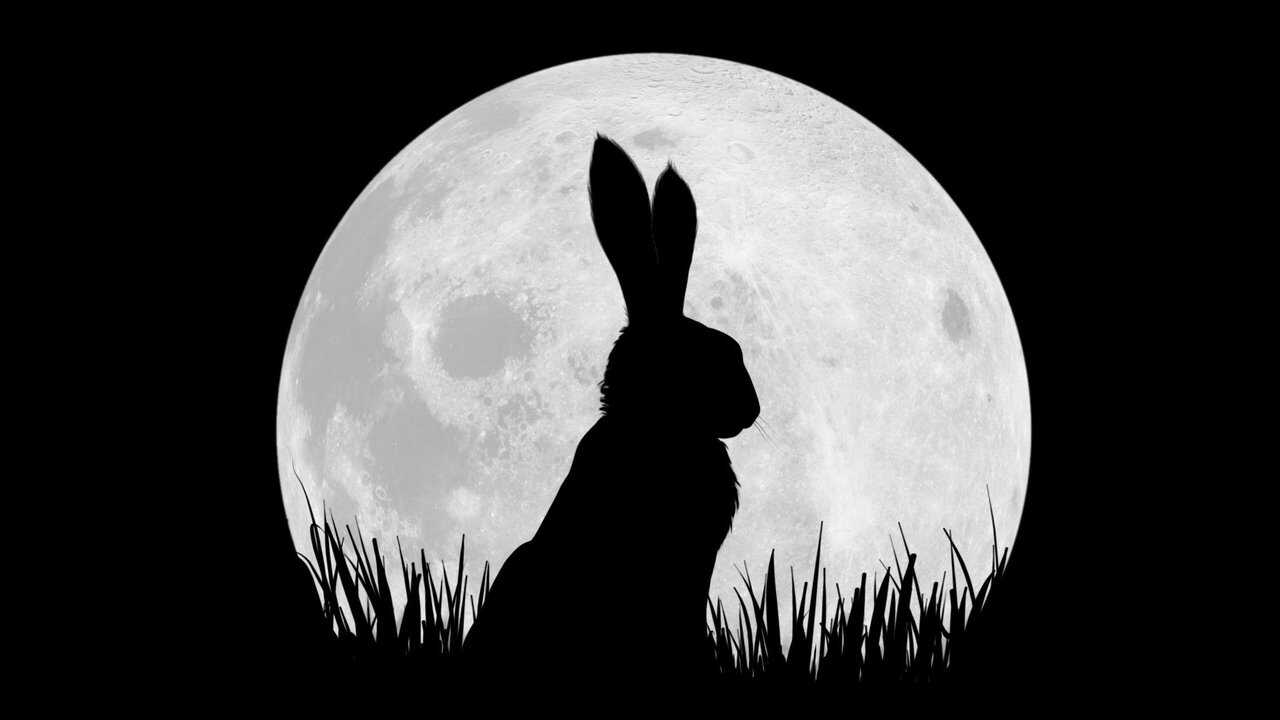 EN - Watership Down (2018) 2