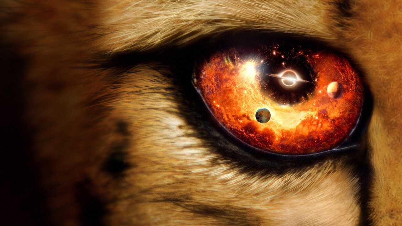 NL - OUR UNIVERSE 0