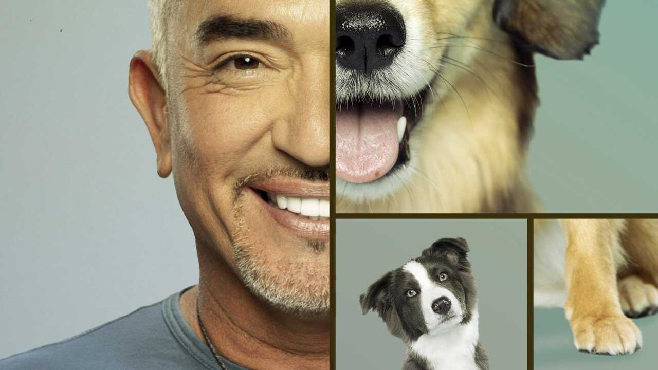 EN - Cesar Millan: Better Human, Better Dog (2021) 3