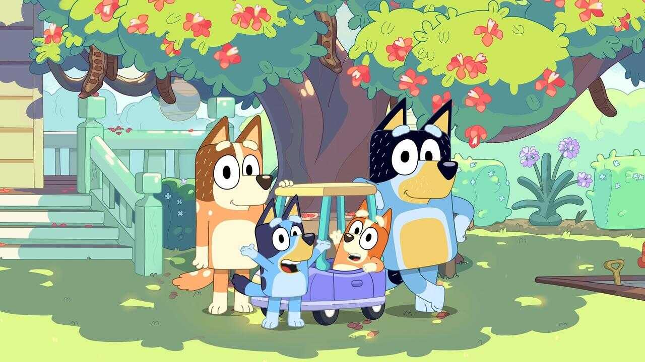 DE - Bluey (2018) 3