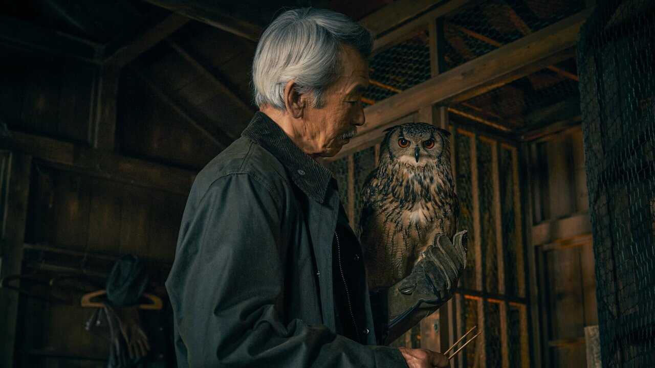 NL - HOUSE OF THE OWL 1