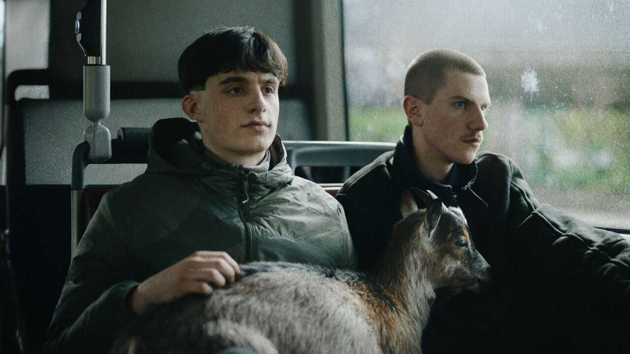 NL - PUTAIN 0