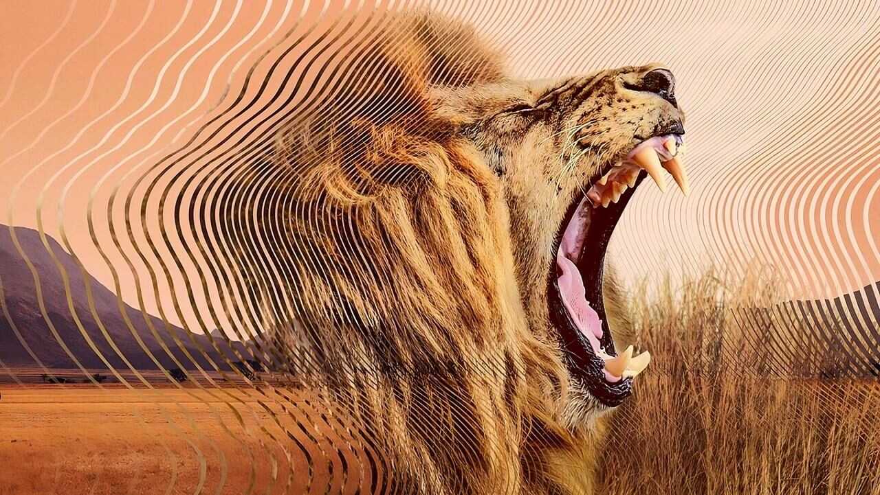 FR - Le Monde secret du son avec David Attenborough (2024) 1